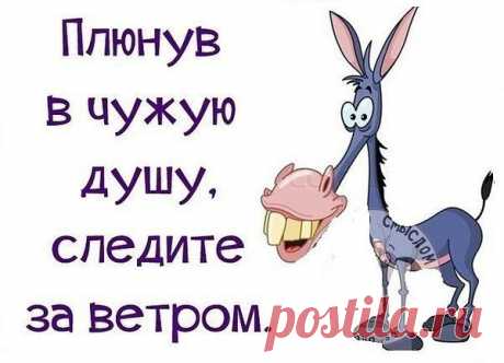 Интересные новости