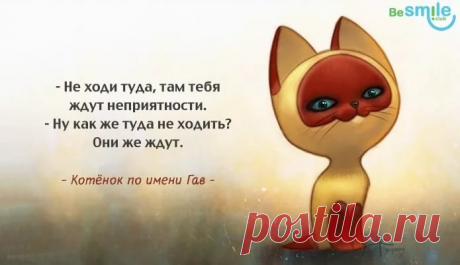 мудрые высказывания про тех кто ищет неприятности: 10 тыс изображений найдено в Яндекс.Картинках