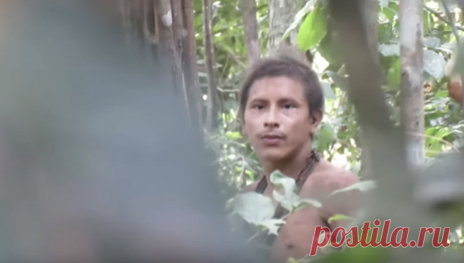 В джунглях засняли первобытного человека - Hi-Tech Mail.ru