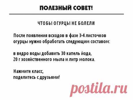 ПОЛЕЗНЫЙ СОВЕТ.