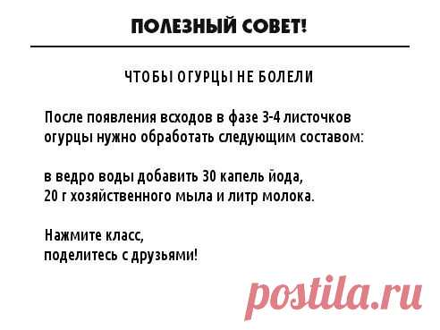 ПОЛЕЗНЫЙ СОВЕТ.