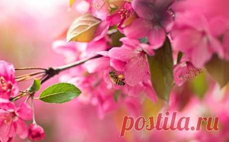 Утро доброе! Хорошего позитивного дня всем-всем-всем! ♥