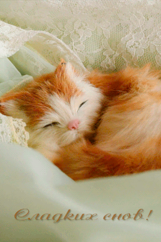 Сладких снов