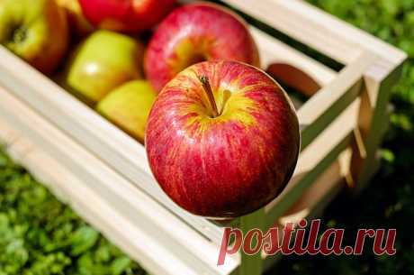 Рош Xа-Шана: и рыба, и птица, и яблоки