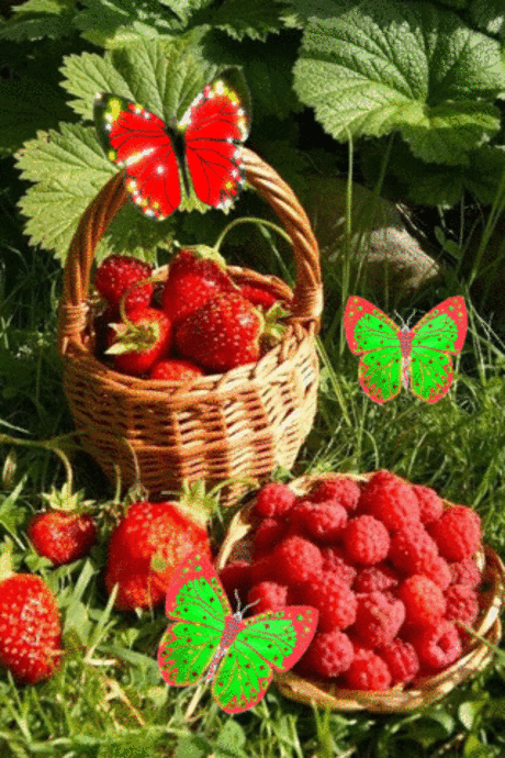 Лето в корзинке