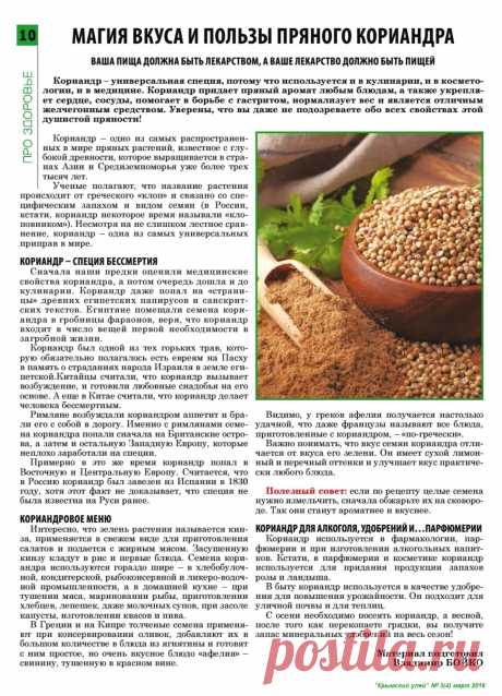 Кориандр - специя бессмертия
