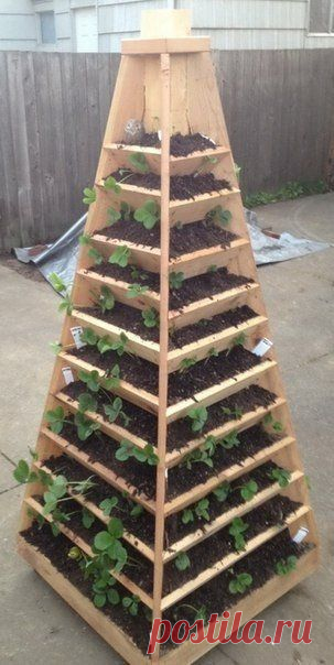 Чудо-грядка в виде конуса! | Мамам, женщинам, бабушкам и очень любознательным.