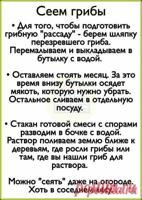 идеи для сада