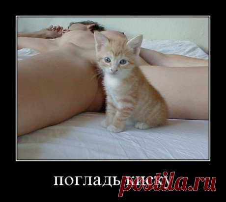 киска