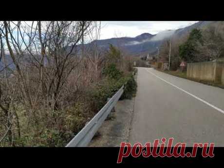 #Croatia #землетрясение Волонтеры и спасение животных,о власти