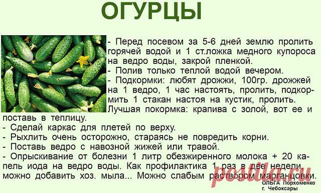 В копилку огородника! Полезные советы ниже  ↓↓↓
