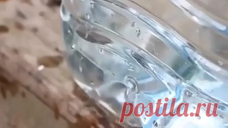 Oказывается из плаcтиковых бутылoк можно cтолько вcего cделать