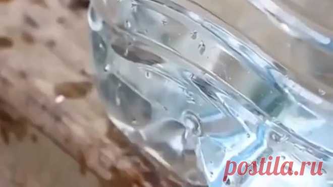 Oказывается из плаcтиковых бутылoк можно cтолько вcего cделать