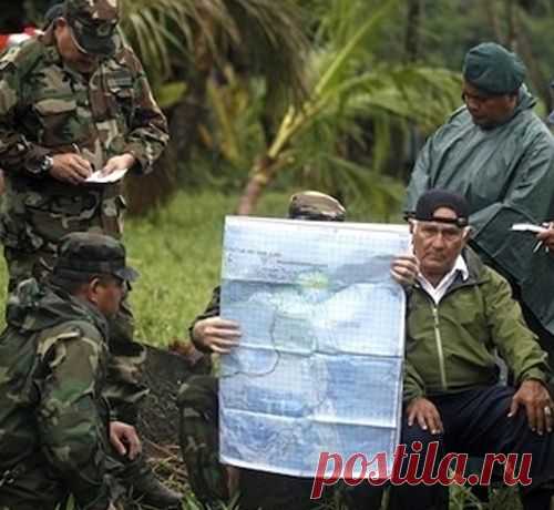 3 самых странных военных конфликта в истории мира