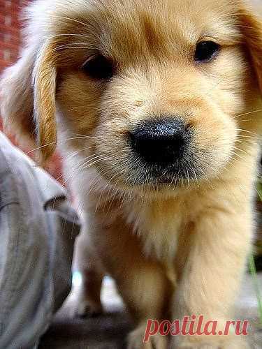 Новогодняя пьянка 2014