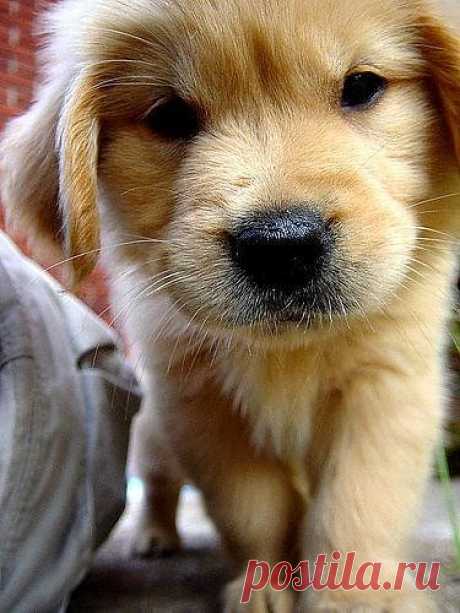 Новогодняя пьянка 2014