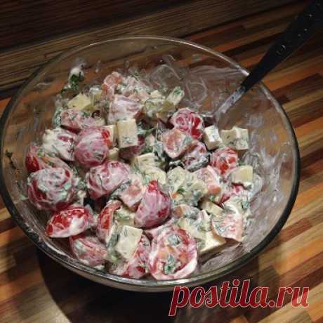 Салат с семгой, помидором, сыром и зеленью рецепт – салаты