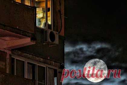 Москвич забыл ключи, попытался попасть домой через балкон и задохнулся. Житель Москвы забыл ключи от квартиры и пытался попасть домой через соседский балкон. 49-летний мужчина использовал автомобильный трос в качестве страховки, но не удержался, сорвался вниз и застрял в петле на уровне третьего этажа. Трагедия произошла 15 декабря на Холмогорской улице.