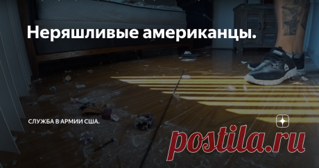 Неряшливые американцы. Сегодня хочу поговорить о неряшливых американцах.
В этой публикации я никого не хочу обидеть и тем более оскорбить, я просто выскажу свое видение и поделюсь своими наблюдениями.
Автомобили многих жителей США это просто помойки на колесах. В них можно встретить все что угодно-пустые пакеты из-под чипсов, грязные бумажные стаканы, оберточную грязную бумагу и многое