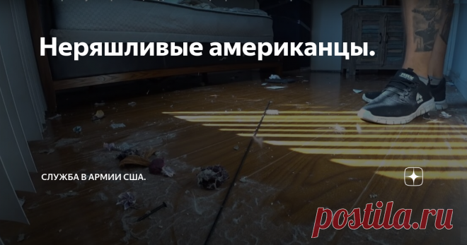 Неряшливые американцы. Сегодня хочу поговорить о неряшливых американцах.
В этой публикации я никого не хочу обидеть и тем более оскорбить, я просто выскажу свое видение и поделюсь своими наблюдениями.
Автомобили многих жителей США это просто помойки на колесах. В них можно встретить все что угодно-пустые пакеты из-под чипсов, грязные бумажные стаканы, оберточную грязную бумагу и многое