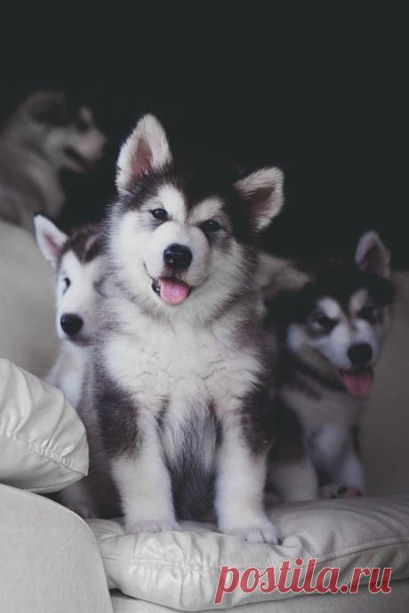 ❤•.¸¸.•❤