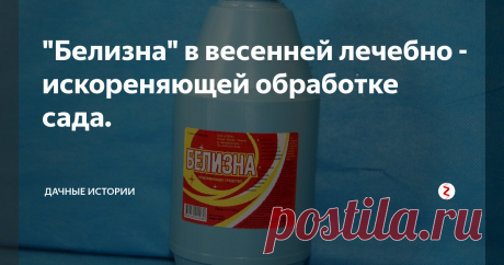 "Белизна" в весенней лечебно - искореняющей обработке сада.