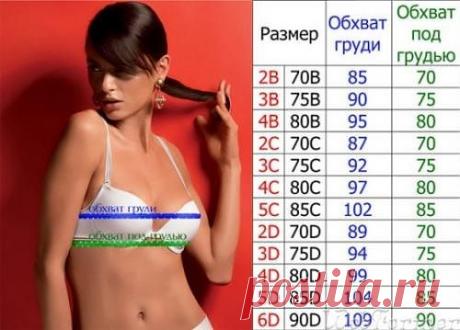 (2) Одноклассники