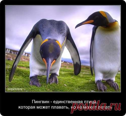 Интересное рядом!