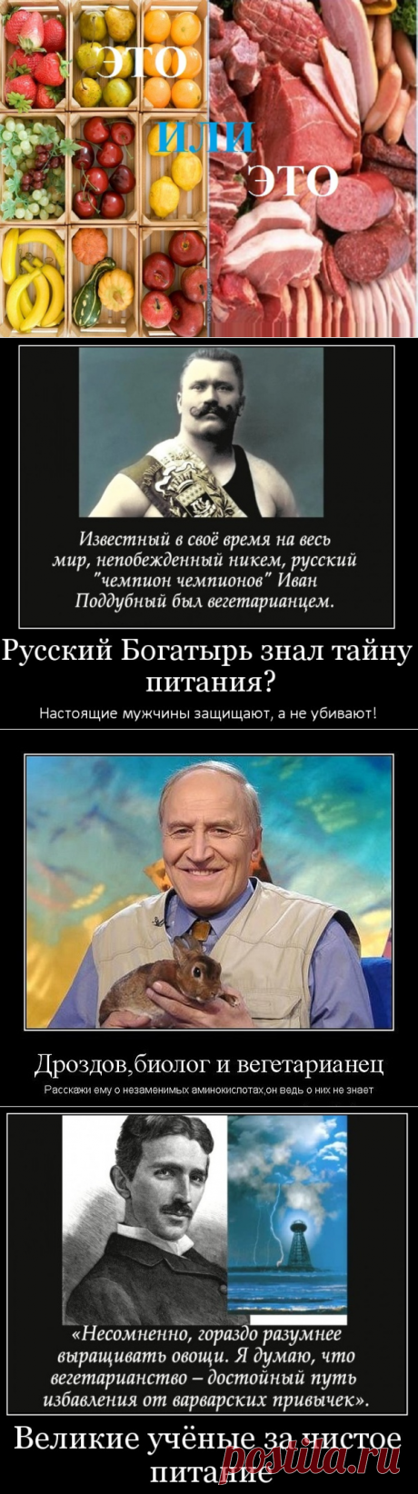 21 миф о вегетарианстве