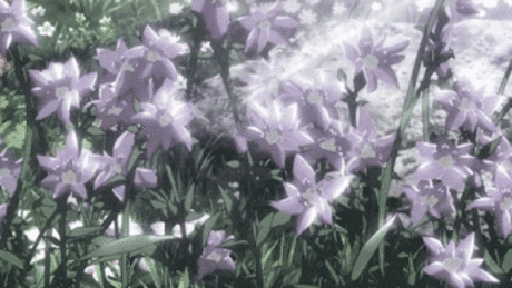 Yalcin Biricik – Google+