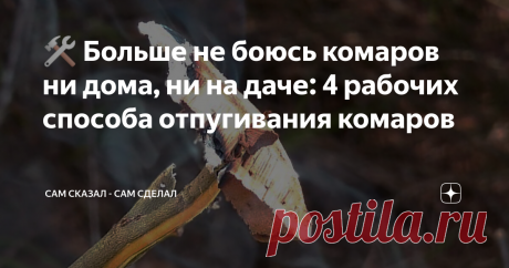 🛠 Больше не боюсь комаров ни дома, ни на даче: 4 рабочих способа отпугивания комаров
