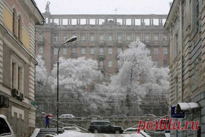 Александр Борисенко
серая лошадь - зима 2010 — in Vladivostok.