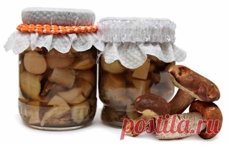 Маринование грибов на зиму