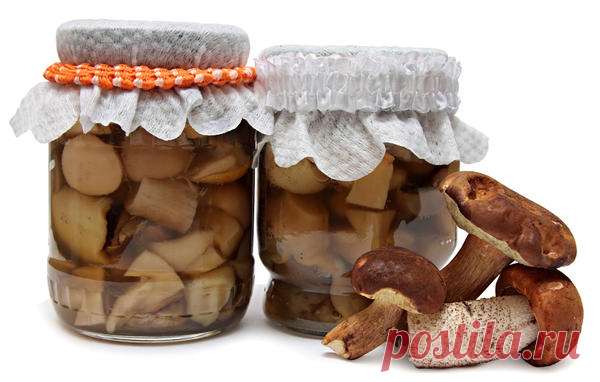 Маринование грибов на зиму