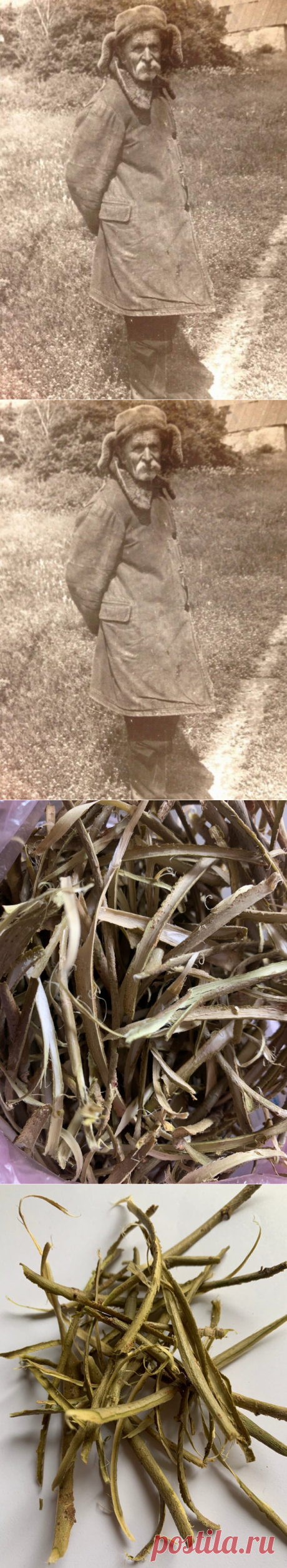 Заварил напиток из ивовой коры, по рецепту старообрядцев.
Всем привет. Это мой прадед — Яким Александрович: Человек серьезной судьбы, отсидевший...
Читай дальше на сайте. Жми подробнее ➡