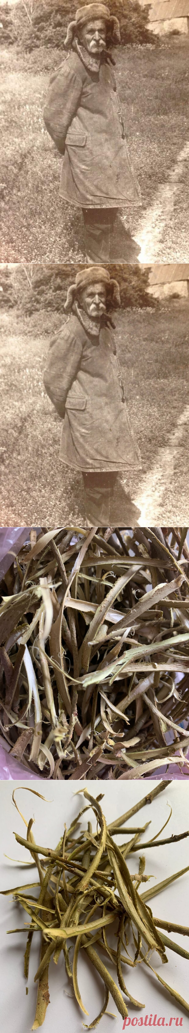 Заварил напиток из ивовой коры, по рецепту старообрядцев.
Всем привет. Это мой прадед — Яким Александрович: Человек серьезной судьбы, отсидевший...
Читай дальше на сайте. Жми подробнее ➡