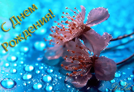 Картинки с днем рождения |  Сайт фотографий, картинок и анимаций