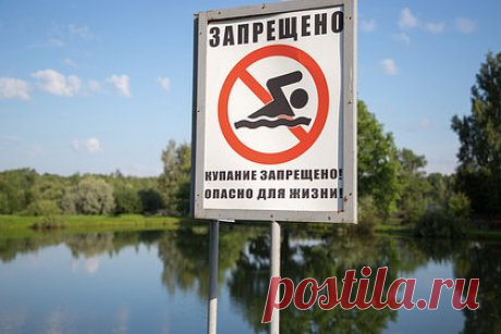 Россиянам подсказали способы избежать «болезни купальщика»