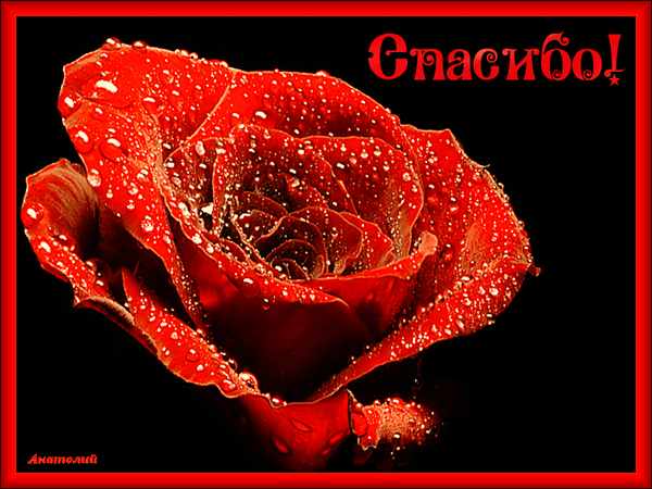 Самые красивые гифки (100 фото) 🔥 Прикольные картинки и юмор