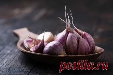 Чеснок от паразитов - рецепт Чингисхана от Огулова - Я узнаю