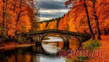 Pin on 🍁Autumn🍂