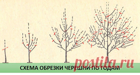 1 непрочитанный чат