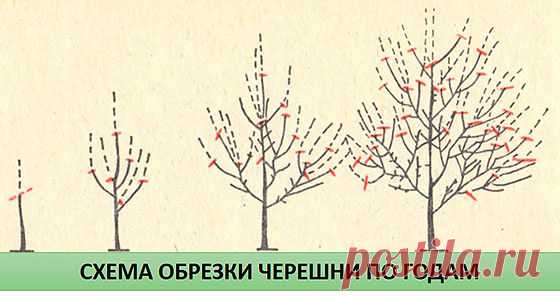 1 непрочитанный чат