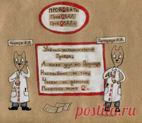 Эти котики научат тебя писать без ошибок! Так правила русского языка ты точно еще не учил…
