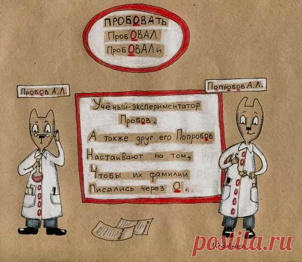 Эти котики научат тебя писать без ошибок! Так правила русского языка ты точно еще не учил…