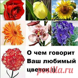 Тест для девушек «О чем говорит твой любимый цветок»
======================================

Оказывается, любимый цветок очень много говорит о характере той, которая отдала ему свое сердце

Роза
У тебя есть свой стиль. Ты горда и всегда держишь дистанцию. Окружающие чувствуют, что ты вот-вот выпустишь невидимые шипы. На светских приемах, ты как правило, блистаешь умом и образованностью>>> продолжение читайте здесь http://on.fb.me/1aHKMW5