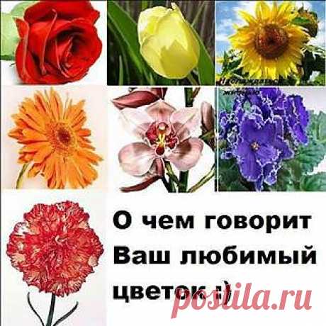 Тест для девушек «О чем говорит твой любимый цветок»
======================================

Оказывается, любимый цветок очень много говорит о характере той, которая отдала ему свое сердце

Роза
У тебя есть свой стиль. Ты горда и всегда держишь дистанцию. Окружающие чувствуют, что ты вот-вот выпустишь невидимые шипы. На светских приемах, ты как правило, блистаешь умом и образованностью&gt;&gt;&gt; продолжение читайте здесь https://on.fb.me/1aHKMW5