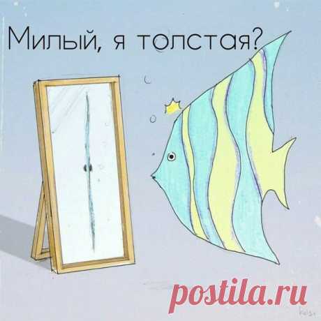 Приколы