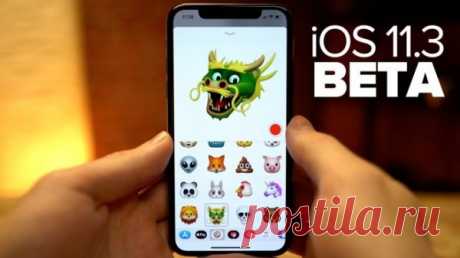iOS 11.3 выйдет до конца февраля 2018 года Об этом стало известно после твита компании Shure — одного из производителей музыкального и аудио-оборудования.