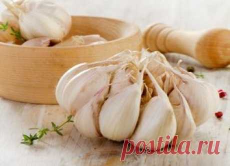 Неправильное питание и отсутствие регулярной физической нагрузки приводят к образованию холестериновых бляшек на сосудах.